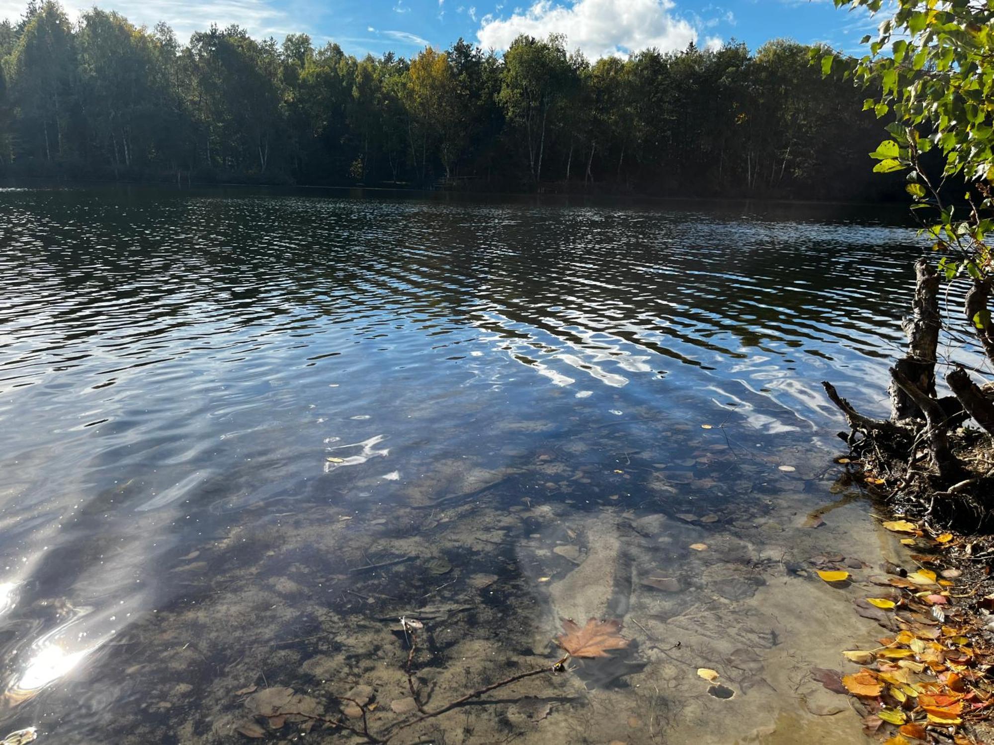 Ferienwohnung Am See Dillich - Hunde Willkommen - Eigener Eingezaeunter Garten - Ruhige Lage Borken (Hessen) Exterior foto